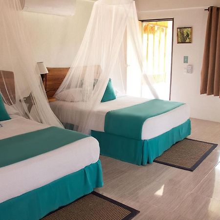 Hotel Reserva Nativa Solferino Dış mekan fotoğraf